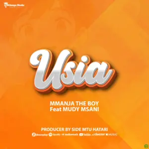 USIA audio by Mmanja The Boy feat. Mudy Msanii