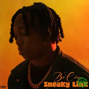 Boi Chase - Sneaky Link