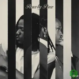 Fireboy DML – Shake ft. Pheelz