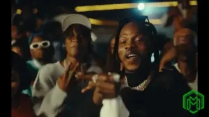 Naira Marley – Cartoon (Video)