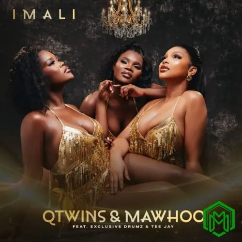 Imali audio by Q Twins & Mawhoo feat. Exclusive Drumz and Tee Jay