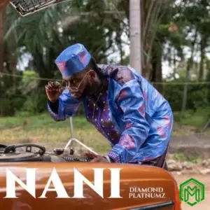 Diamond Platnumz – Nani