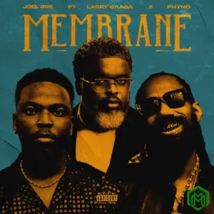 Membrane audio by Joel Dre feat. Larry Gaaga, Phyno
