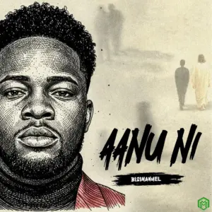 Aanu Ni audio by Bisimanuel