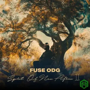 Bonfire audio by Fuse ODG