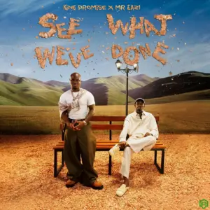 King Promise – No. 1 Fan ft. Mr Eazi