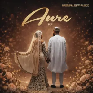 Aure audio by Danmusa New Prince