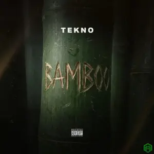 Bamboo audio by Tekno