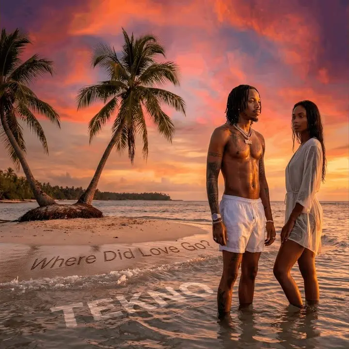 Where Did Love Go? by Tekno