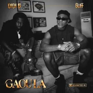 Didi B feat. 6uff – Gaou la